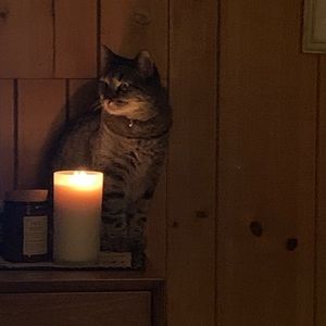 Meet your Posher, Molly